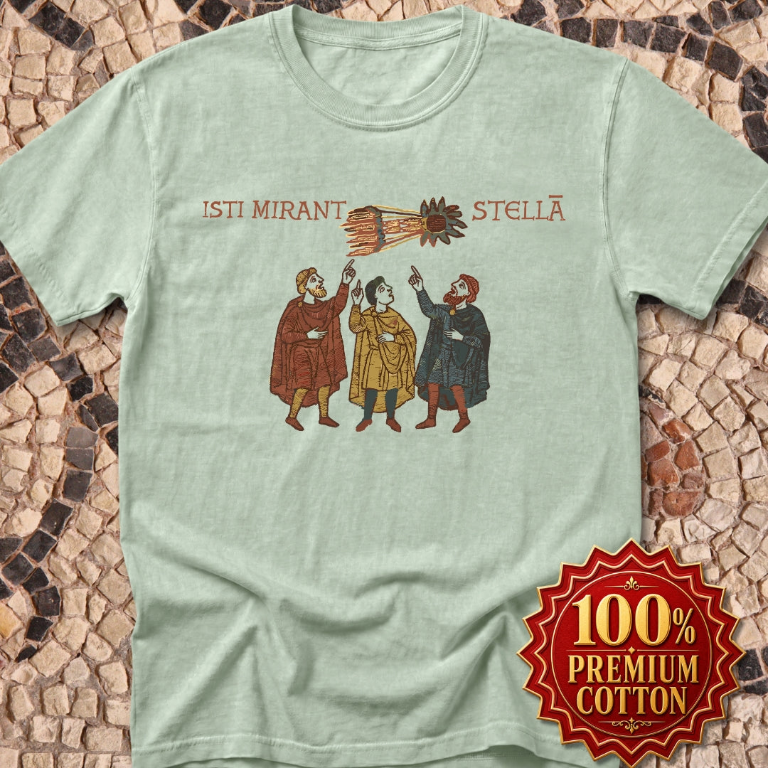 Bayeau Tapestry Comet Premium Tee