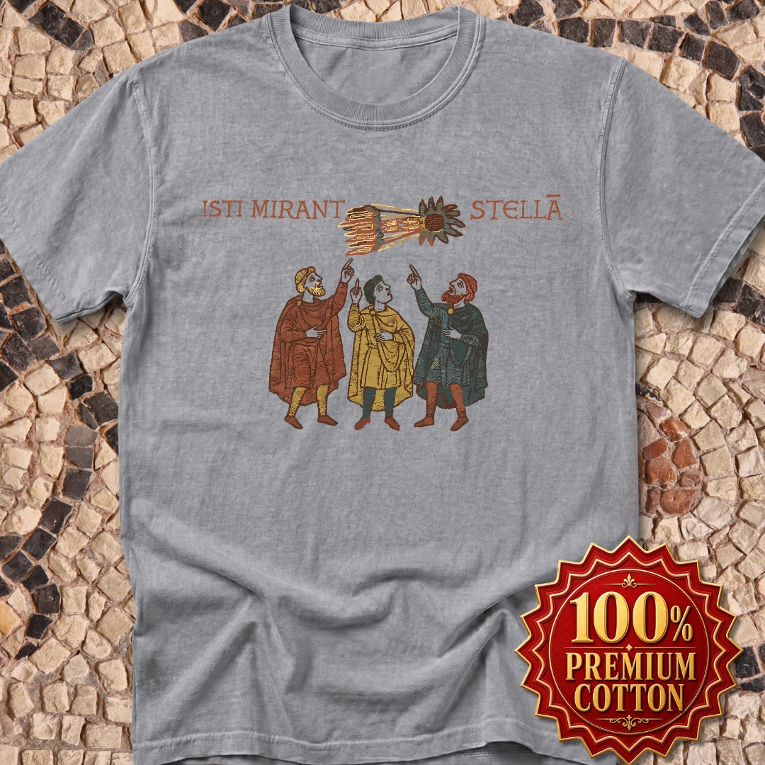 Bayeau Tapestry Comet Premium Tee