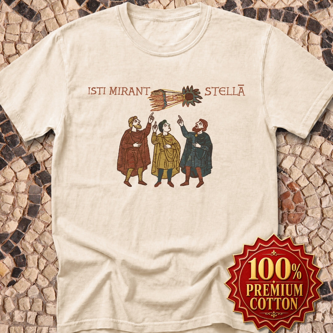 Bayeau Tapestry Comet Premium Tee