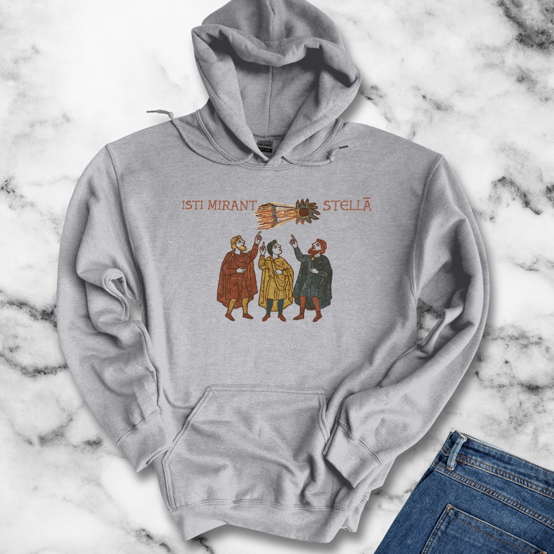 Bayeux Tapestry Comet Latin Hoodie