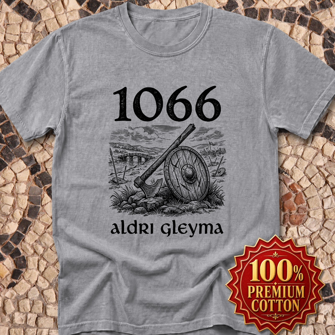 1066 Stamford Bridge Never Forget in Old Norse Premium Tee