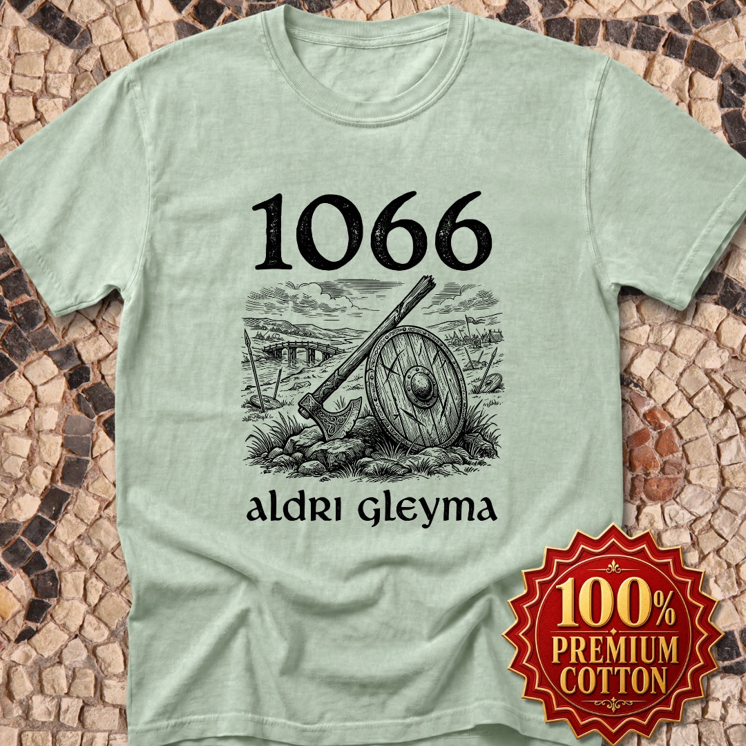 1066 Stamford Bridge Never Forget in Old Norse Premium Tee