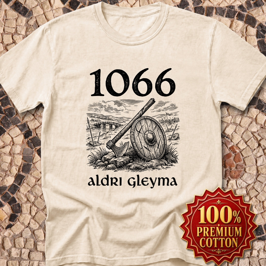 1066 Stamford Bridge Never Forget in Old Norse Premium Tee