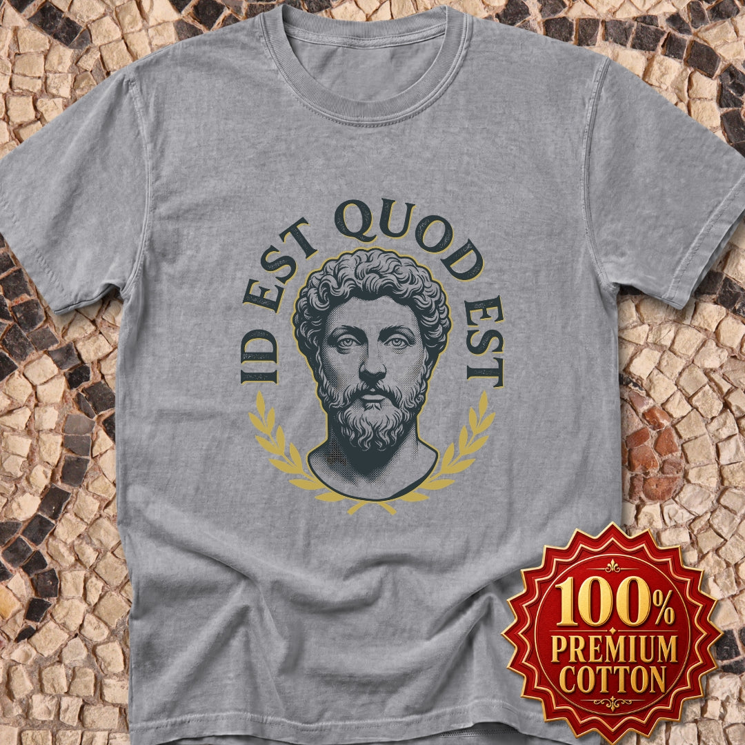 Aurelius It Is What It Is Premium Tee