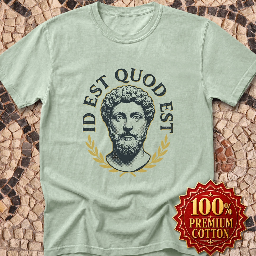 Aurelius It Is What It Is Premium Tee