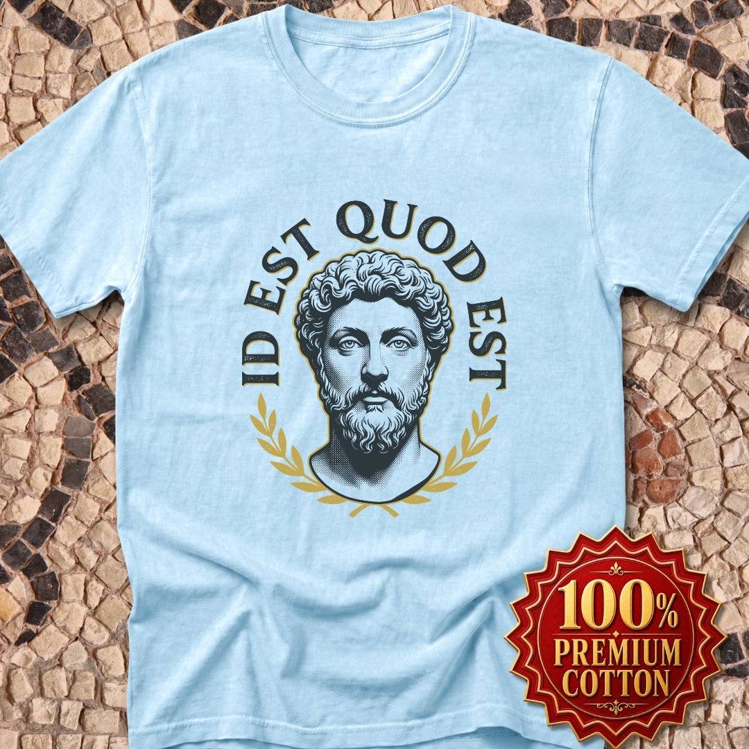 Aurelius It Is What It Is Premium Tee
