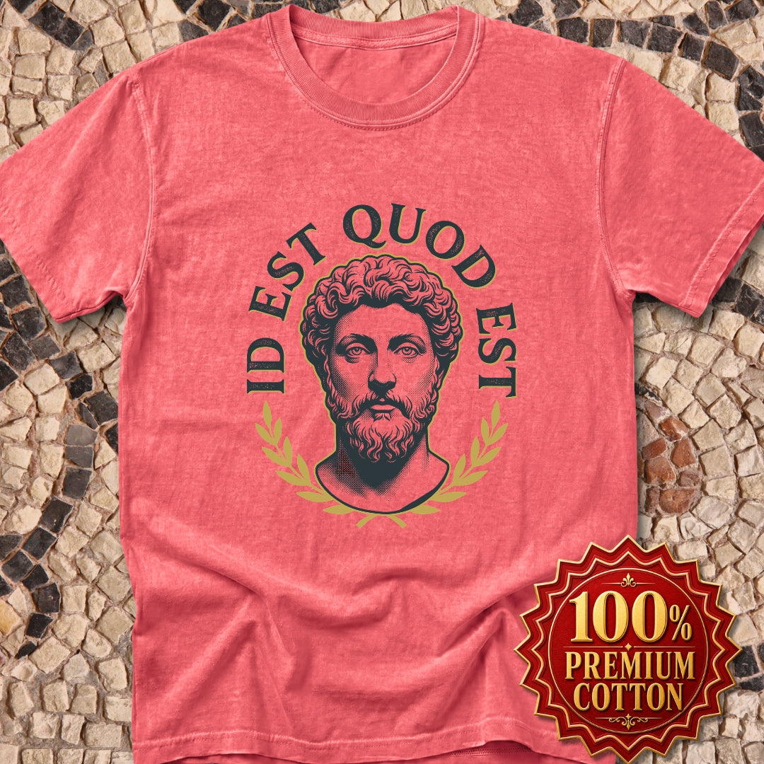 Aurelius It Is What It Is Premium Tee
