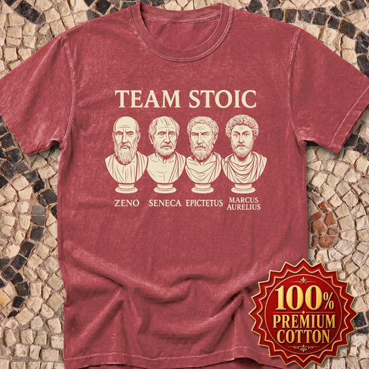 Team Stoic Premium Tee