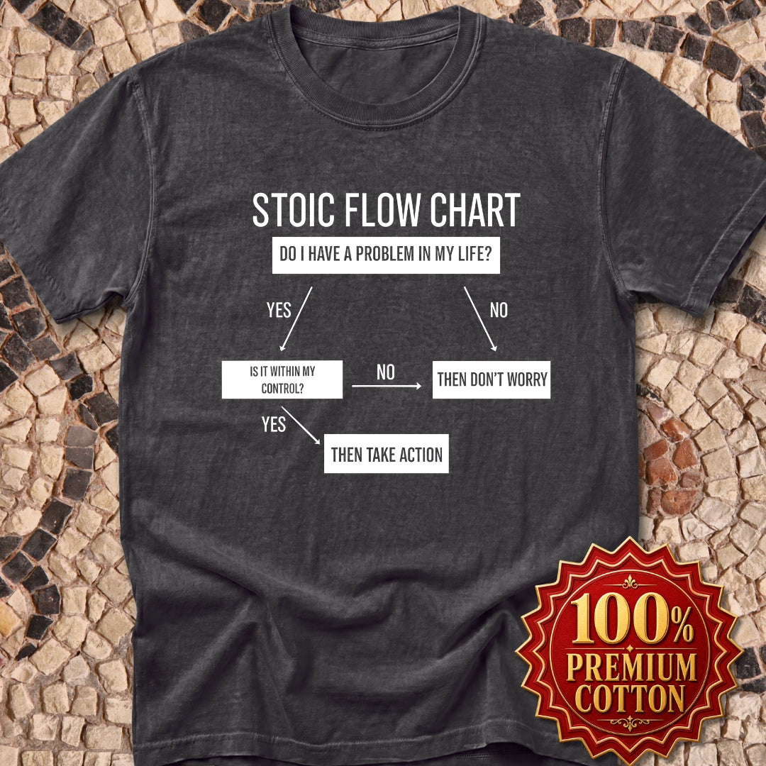 Stoic Flow Chart Premium Tee