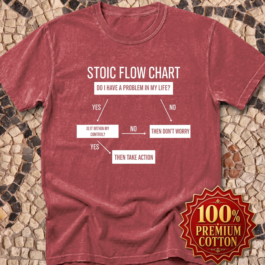 Stoic Flow Chart Premium Tee