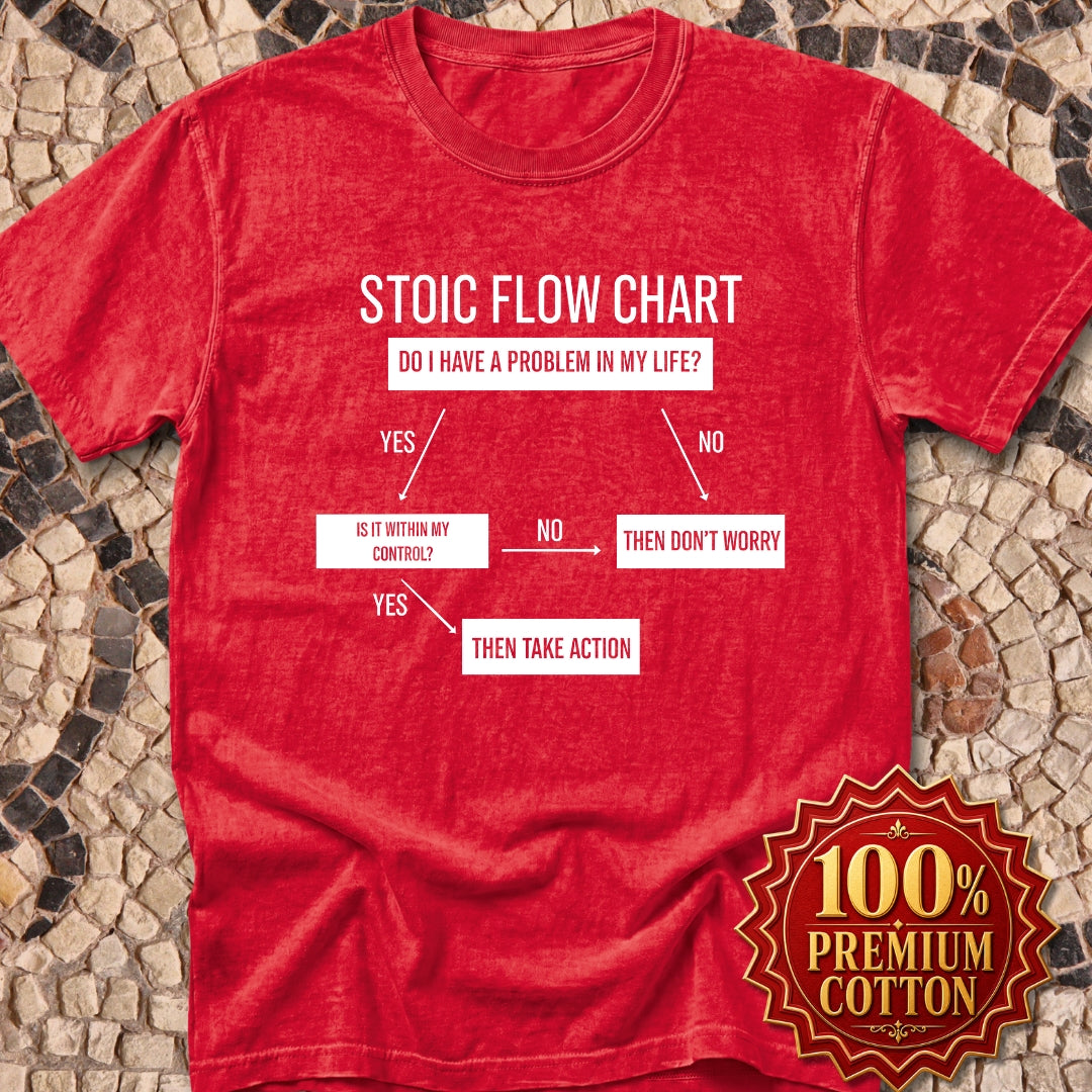 Stoic Flow Chart Premium Tee