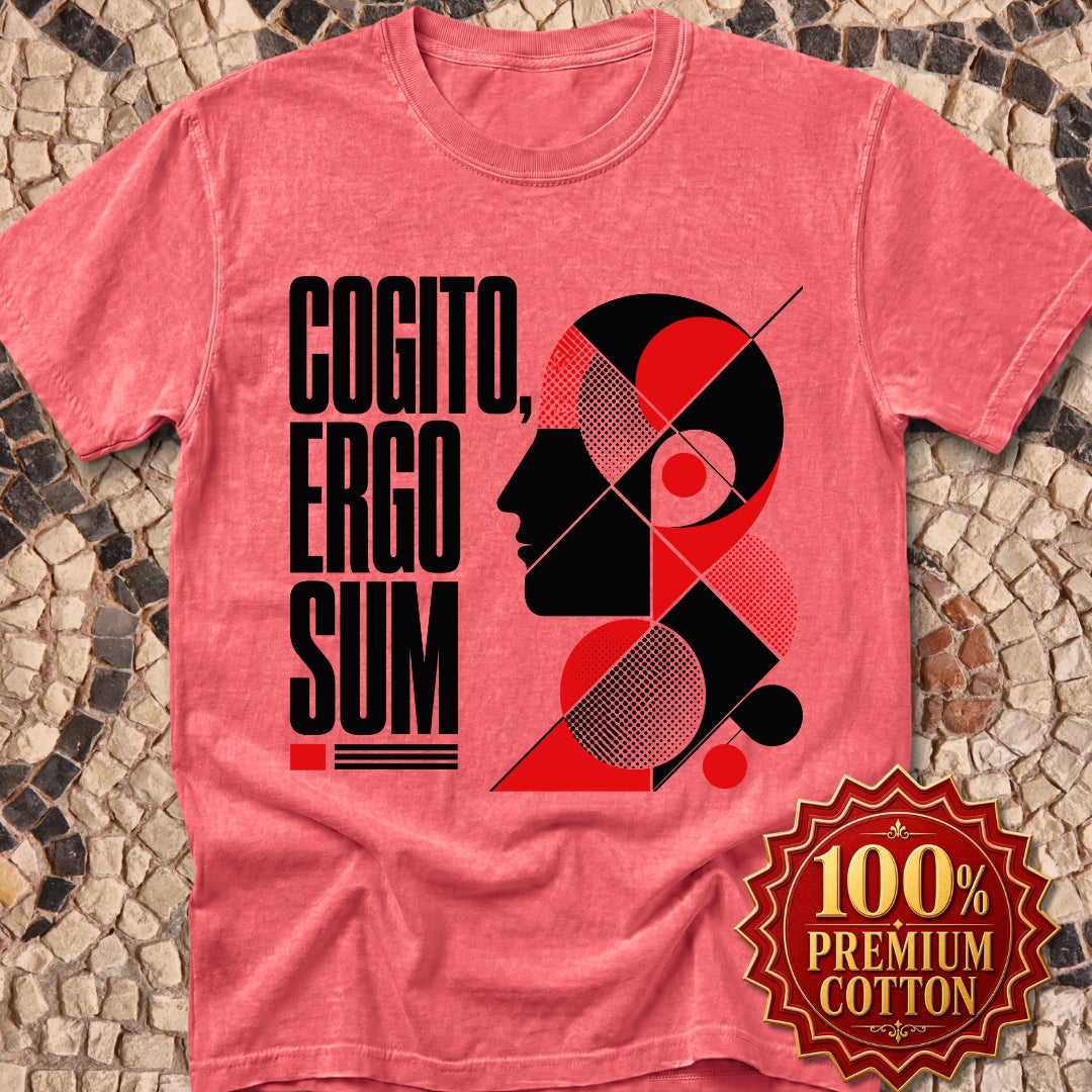 Cogito Ergo Sum Swiss Typograhy Premium Tee
