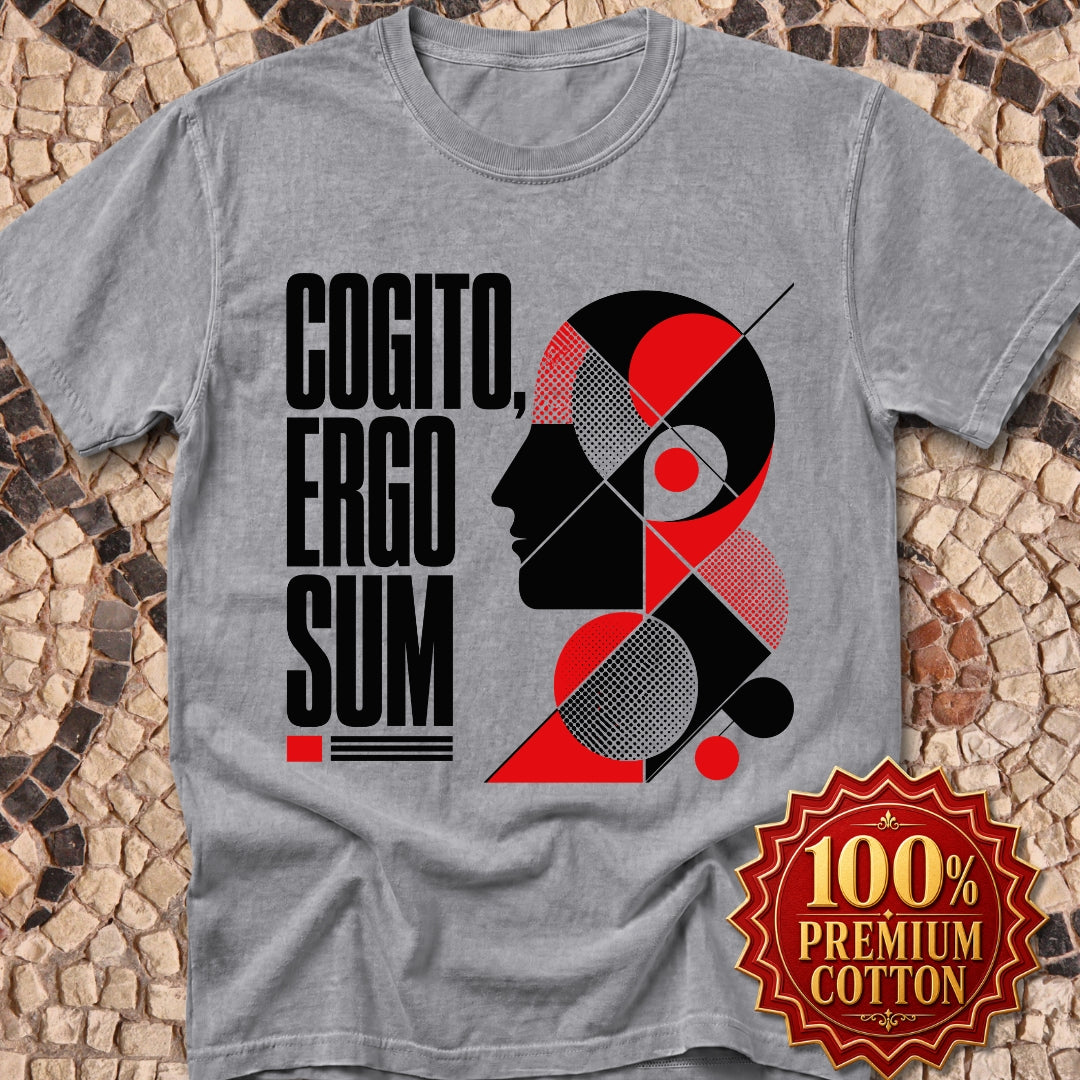 Cogito Ergo Sum Swiss Typograhy Premium Tee