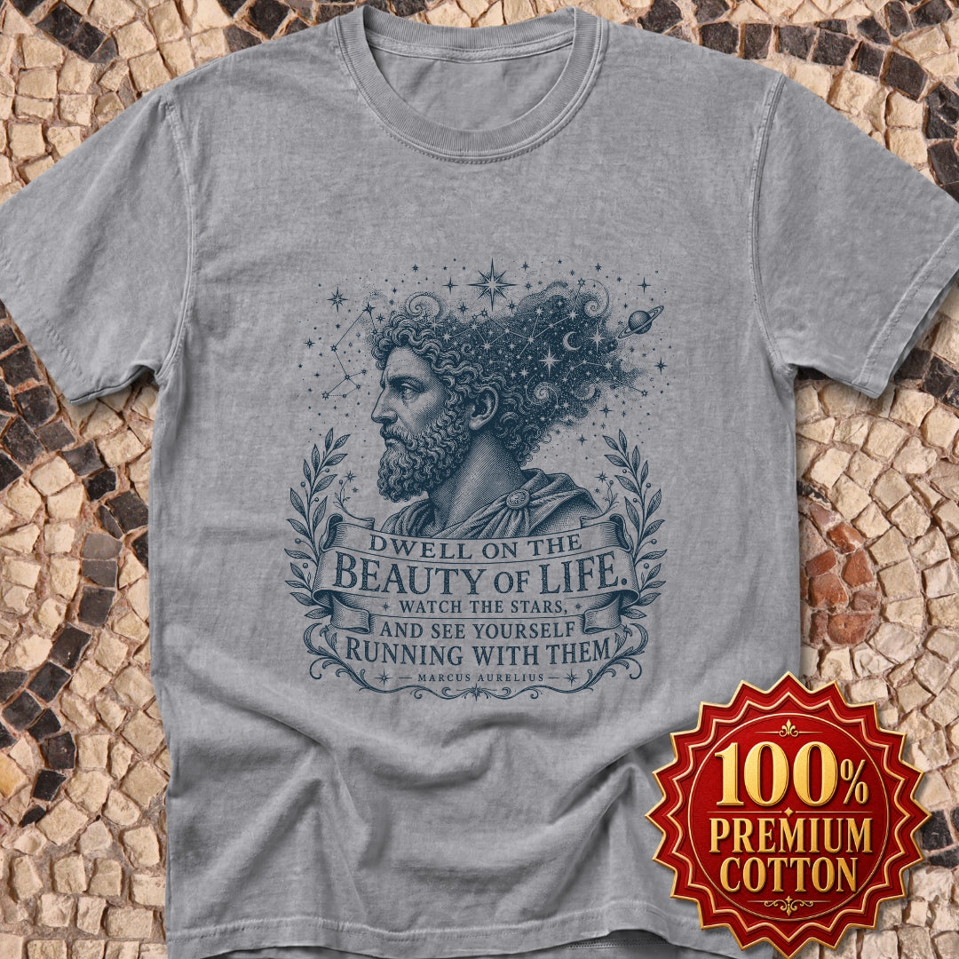Running with the Stars Aurelius Quote Premium Tee