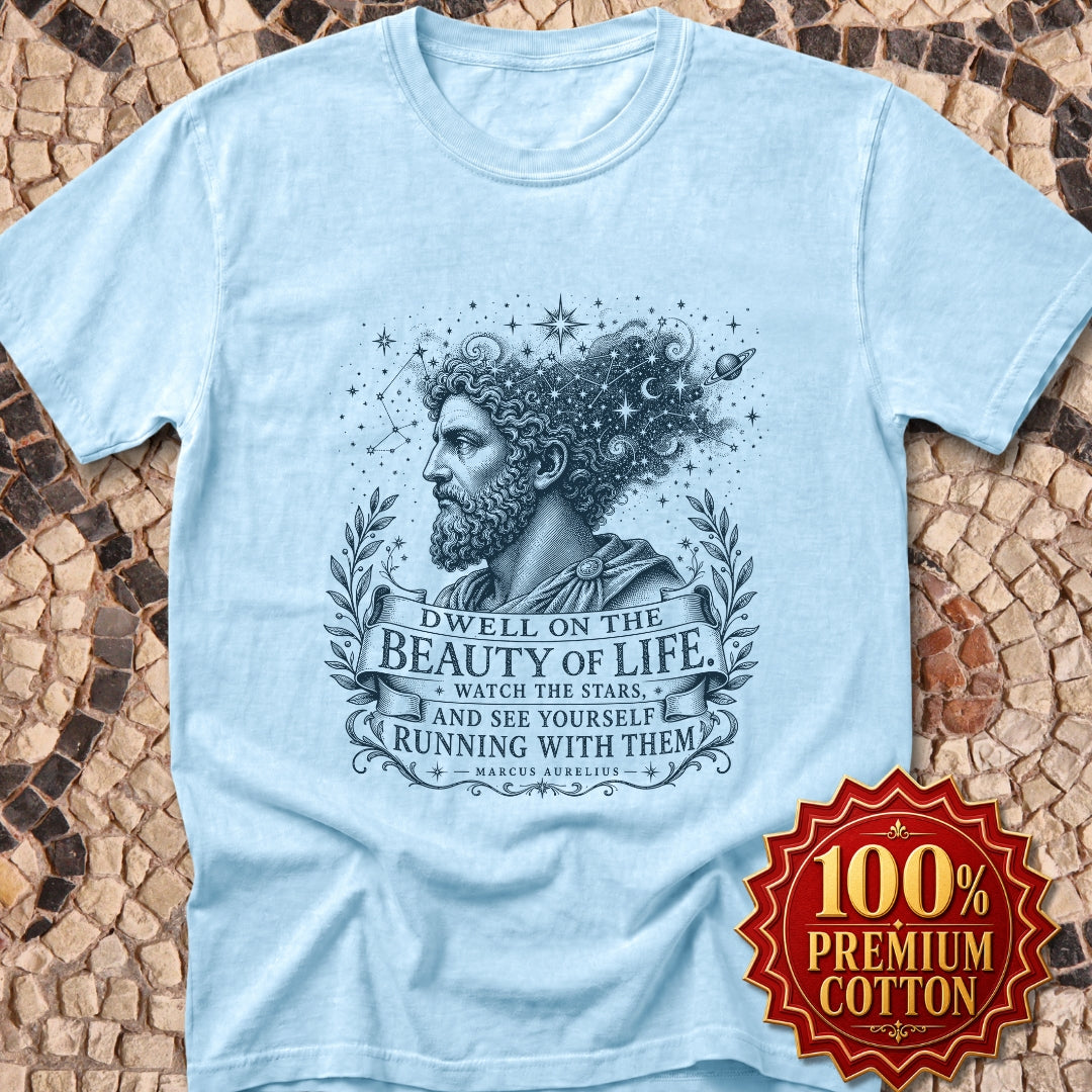 Running with the Stars Aurelius Quote Premium Tee