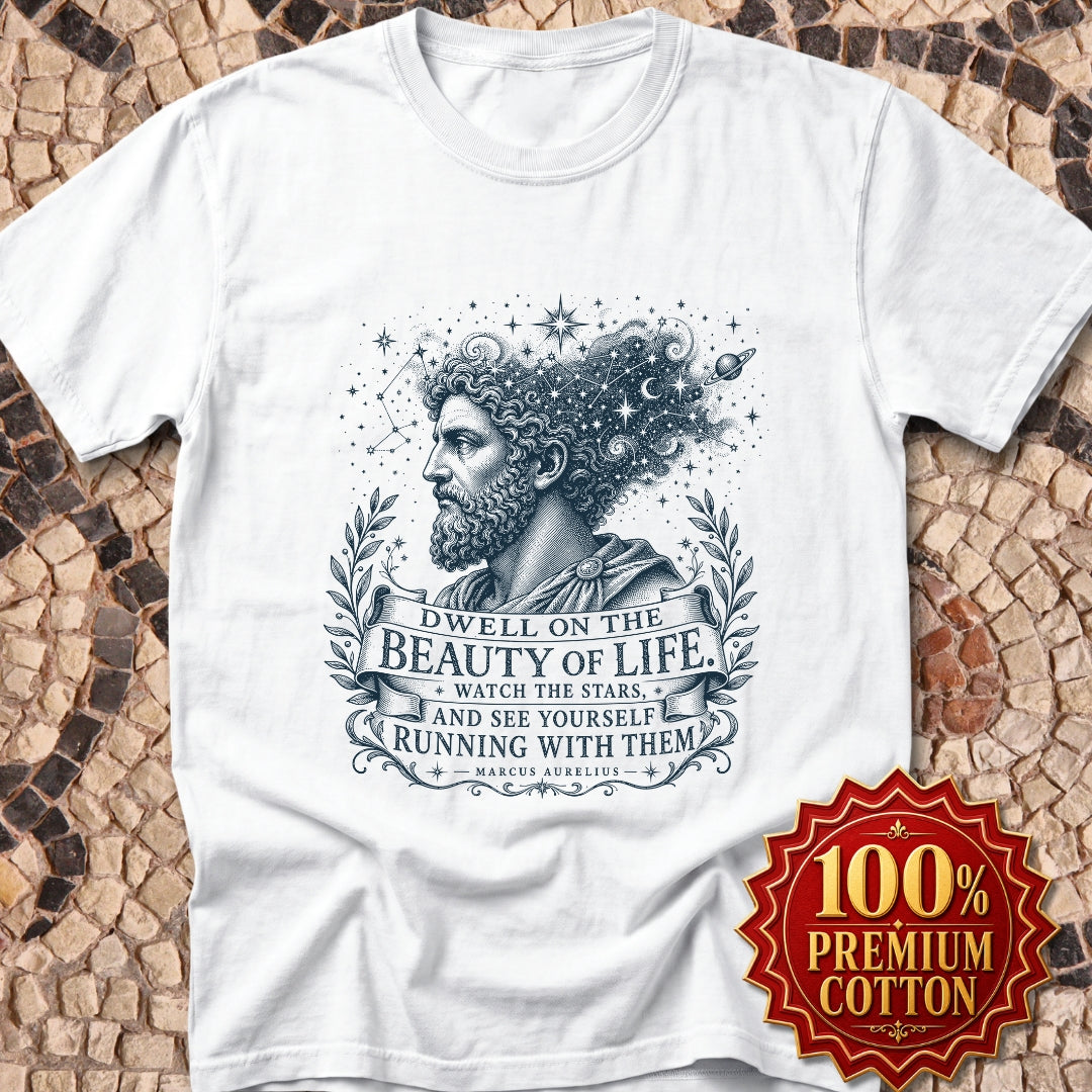 Running with the Stars Aurelius Quote Premium Tee