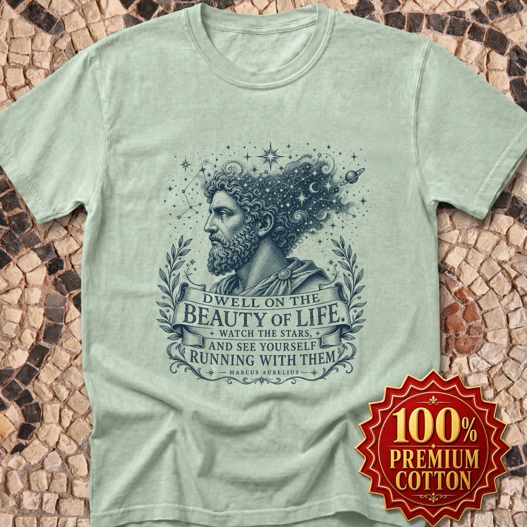 Running with the Stars Aurelius Quote Premium Tee