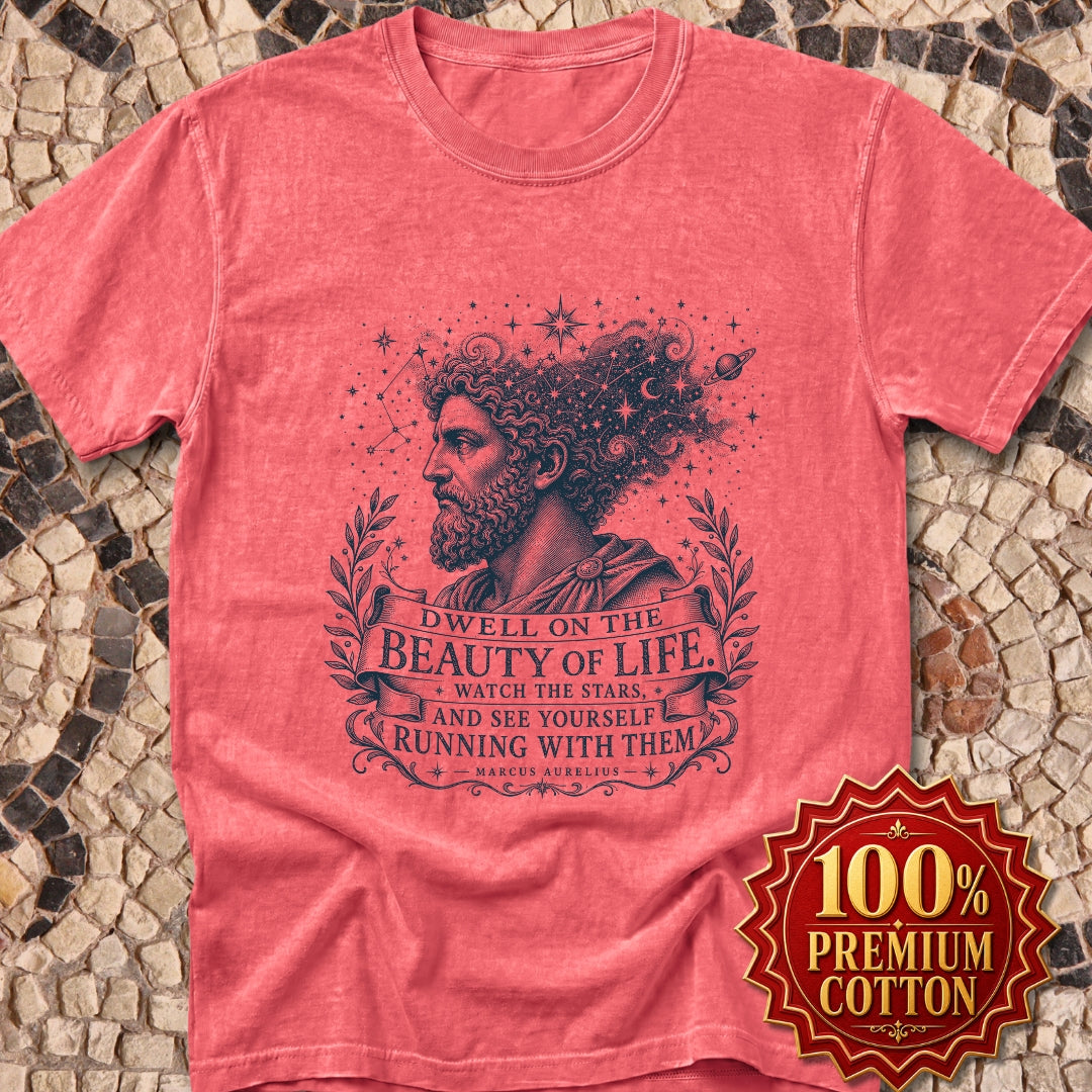 Running with the Stars Aurelius Quote Premium Tee