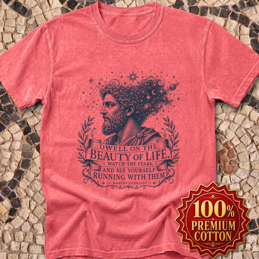 Running with the Stars Aurelius Quote Premium Tee