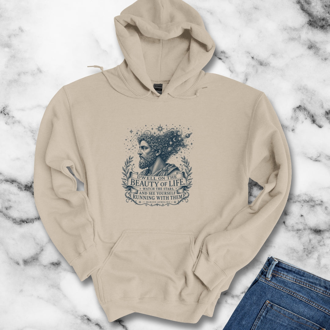 Running with the Stars Aurelius Quote Hoodie