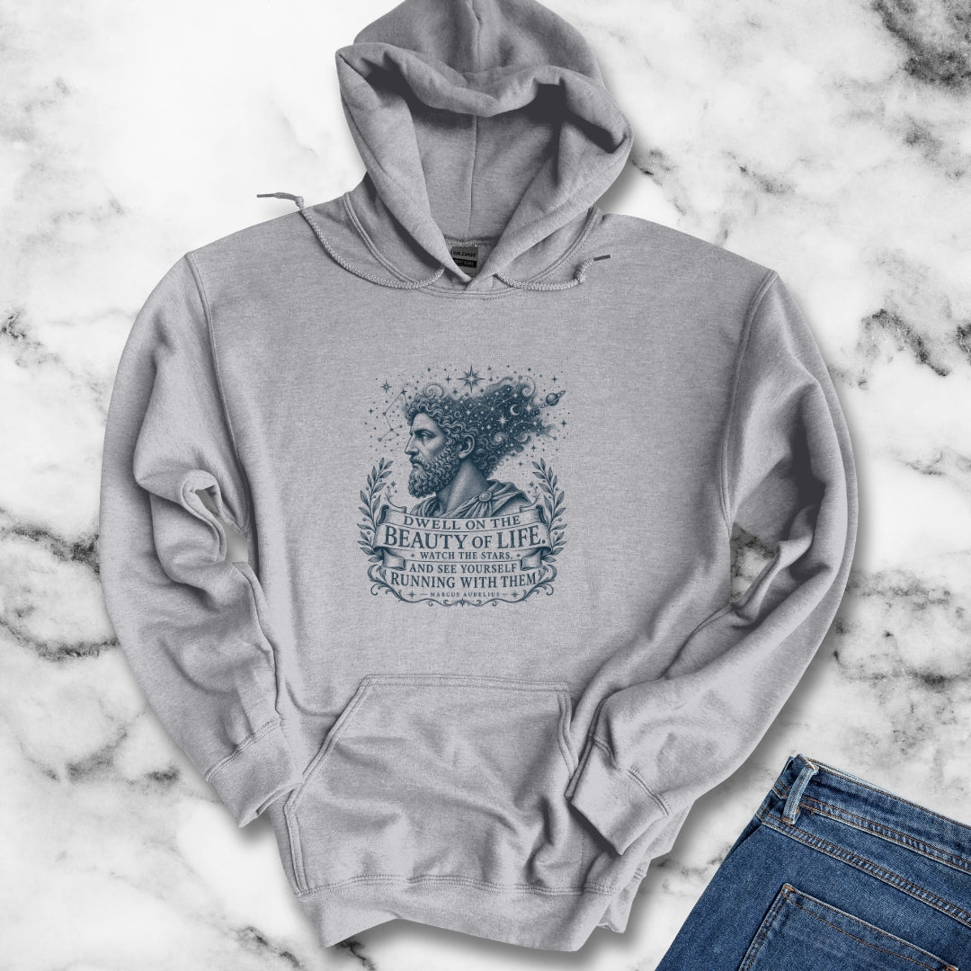 Running with the Stars Aurelius Quote Hoodie