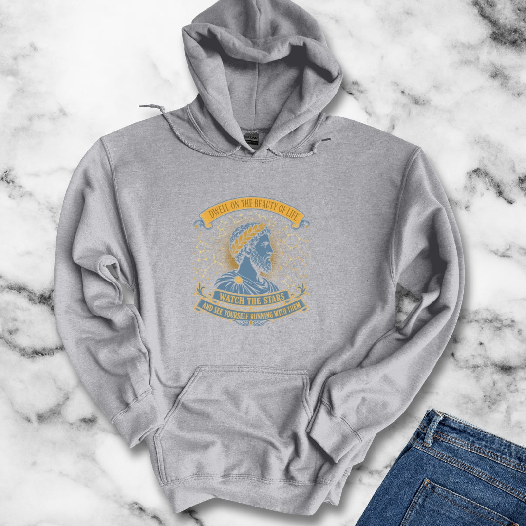 Aurelius Quote Running with the Stars Hoodie