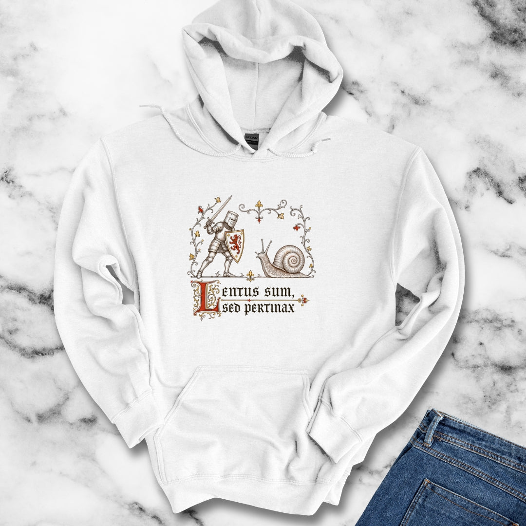Knight vs Snail Marginalia Slow but Persistent Hoodie