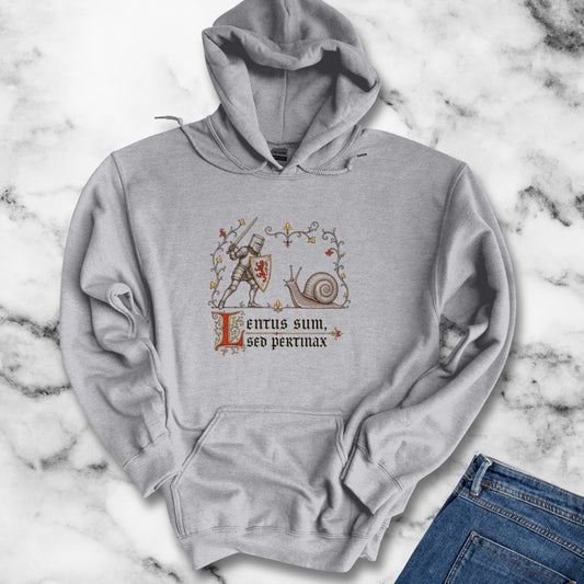 Knight vs Snail Marginalia Slow but Persistent Hoodie