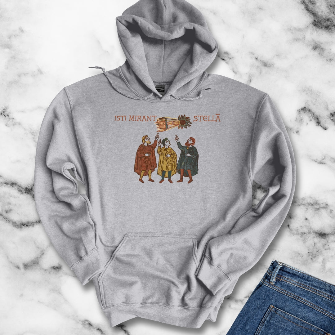 Bayeux Tapestry Comet Hoodie