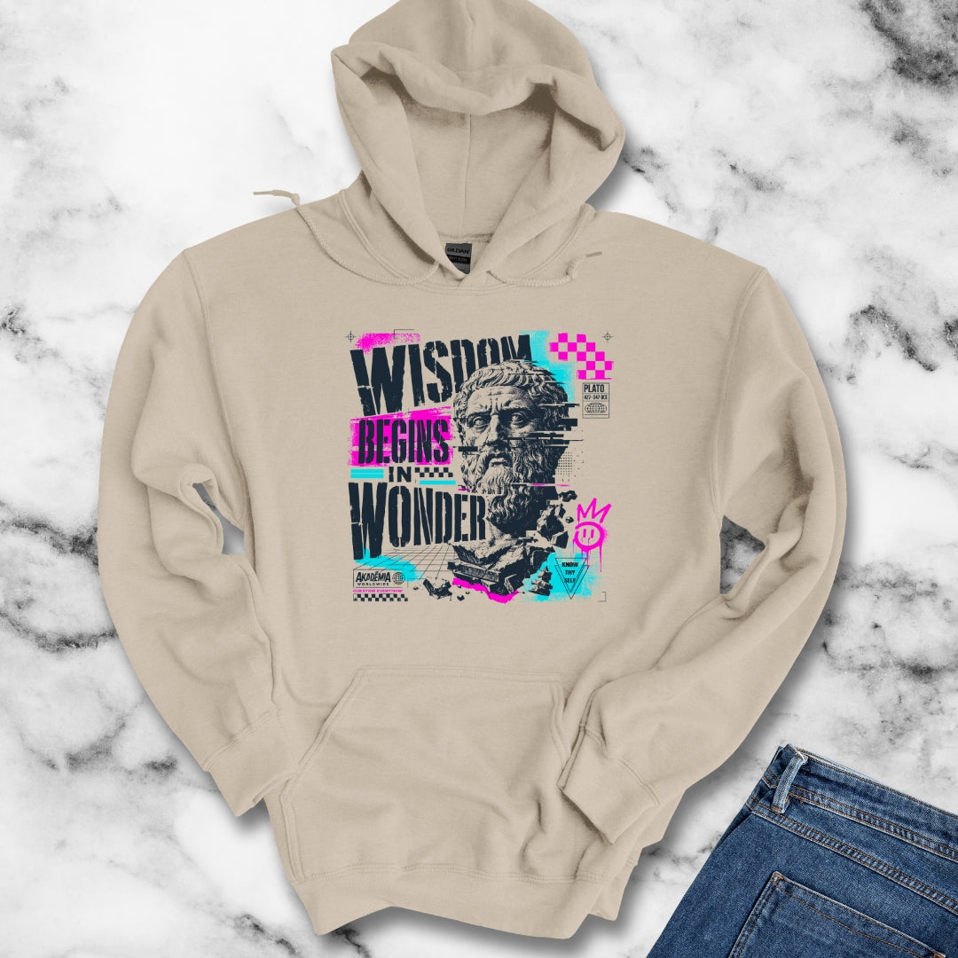 Plato Wisdom Begins in Wonder Hoodie