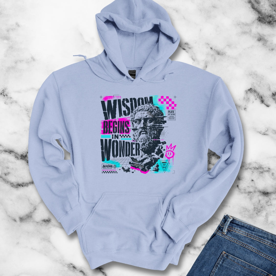 Plato Wisdom Begins in Wonder Hoodie