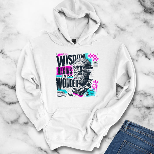 Plato Wisdom Begins in Wonder Hoodie
