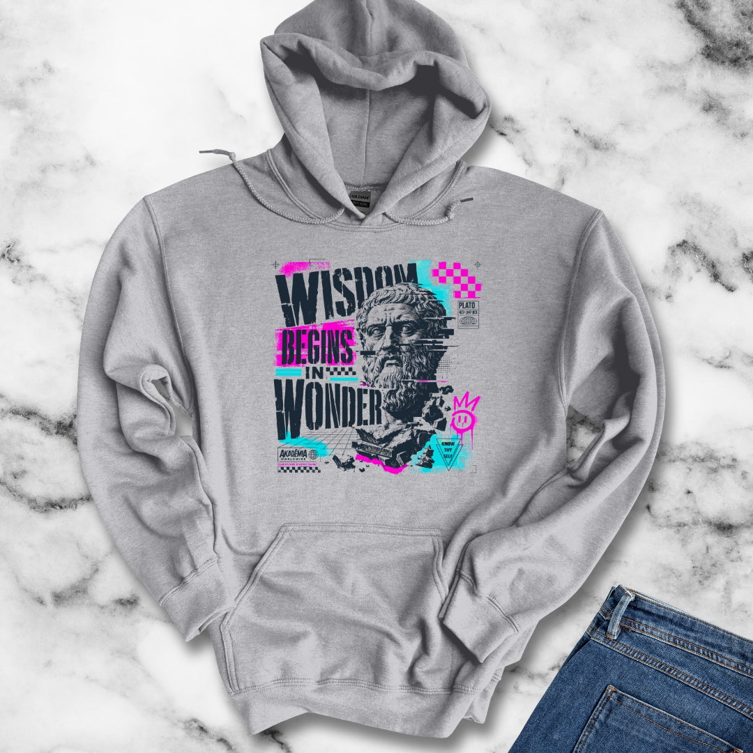 Plato Wisdom Begins in Wonder Hoodie