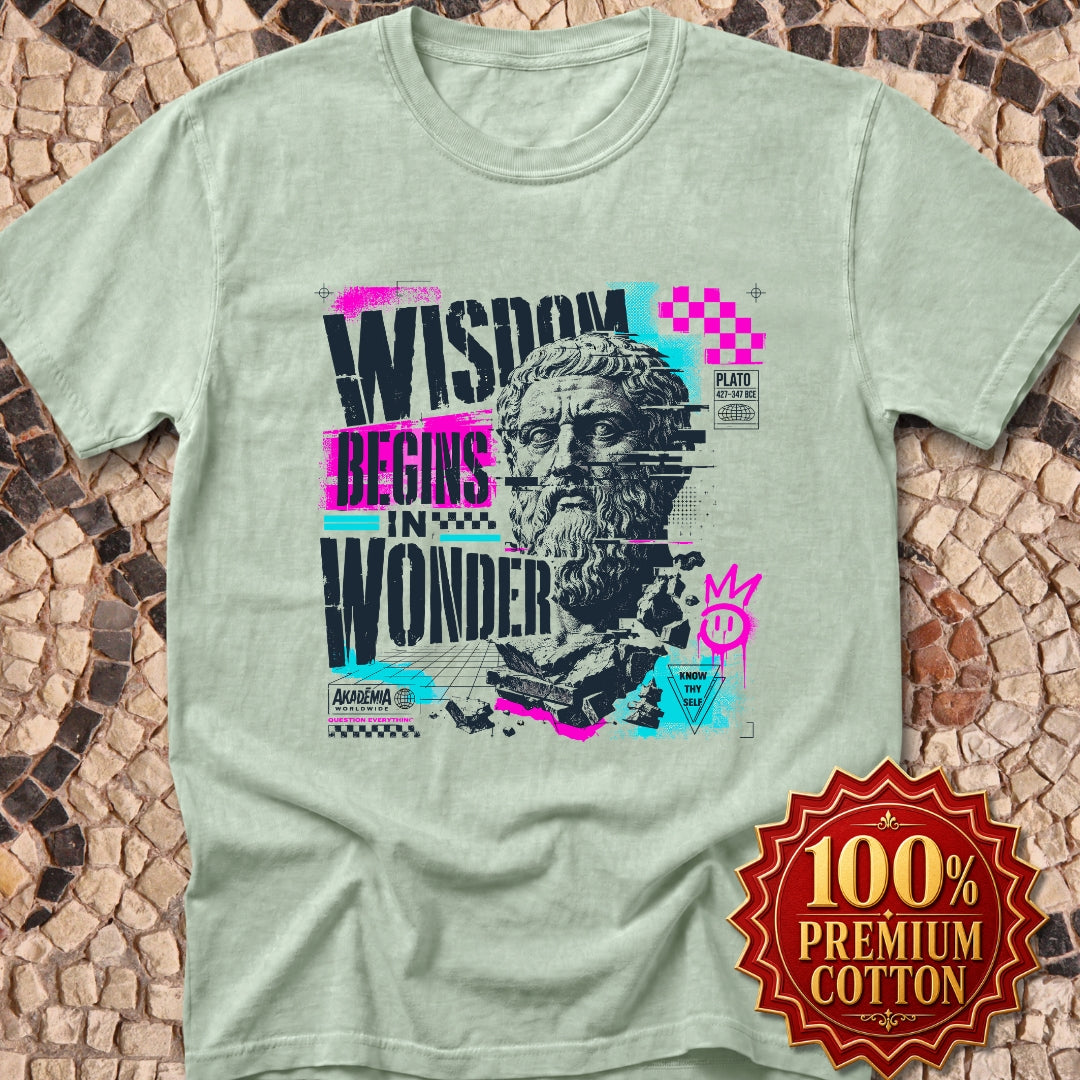 Plato Wisdom Begins in Wonder Premium Tee