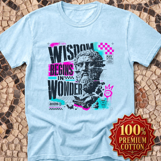 Plato Wisdom Begins in Wonder Premium Tee