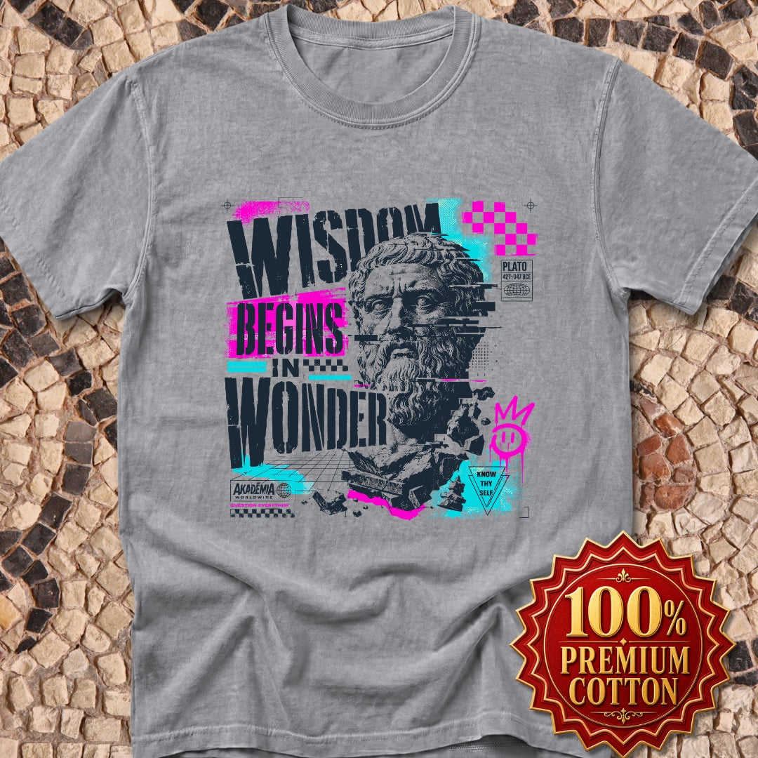 Plato Wisdom Begins in Wonder Premium Tee