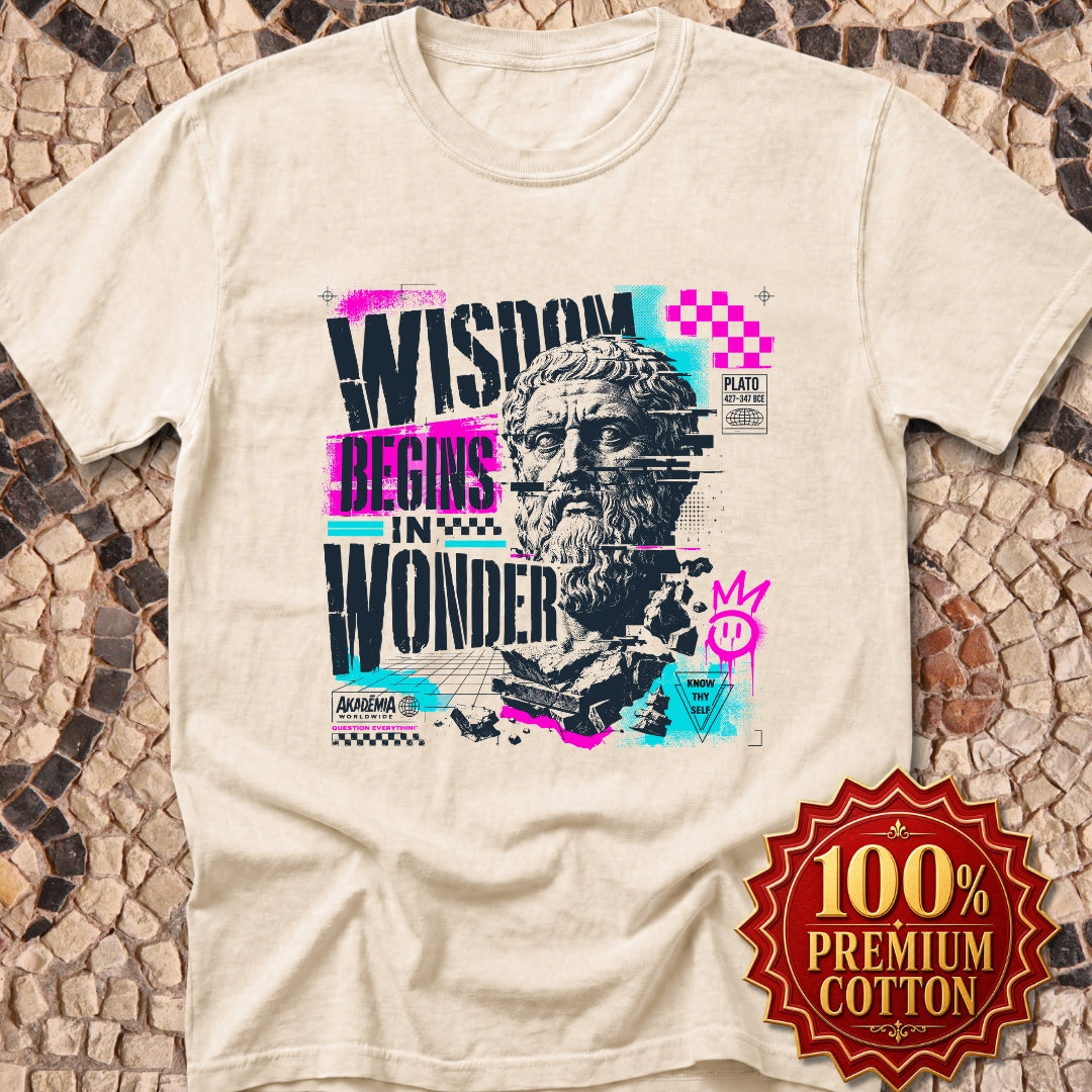 Plato Wisdom Begins in Wonder Premium Tee