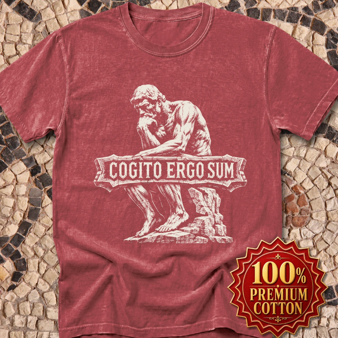 Cogito Ergo Sum Think Therefore I am Premium Tee