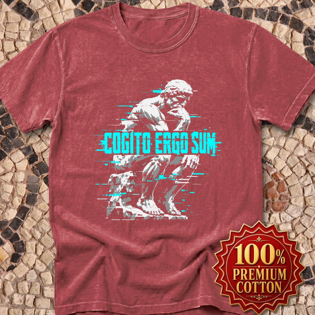 Cogito Ergo Sum Thinker Streetwear Style Premium Tee