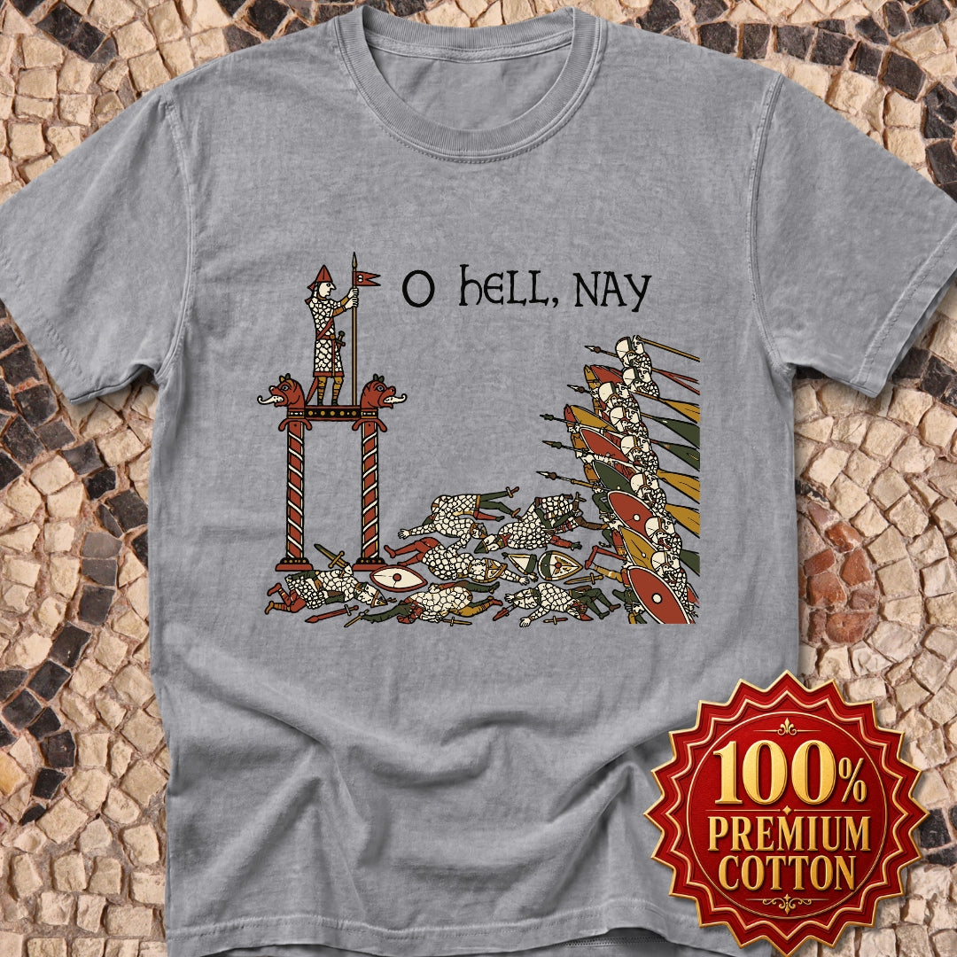 Hell Nay Bayeux Tapestry Meme Premium Tee