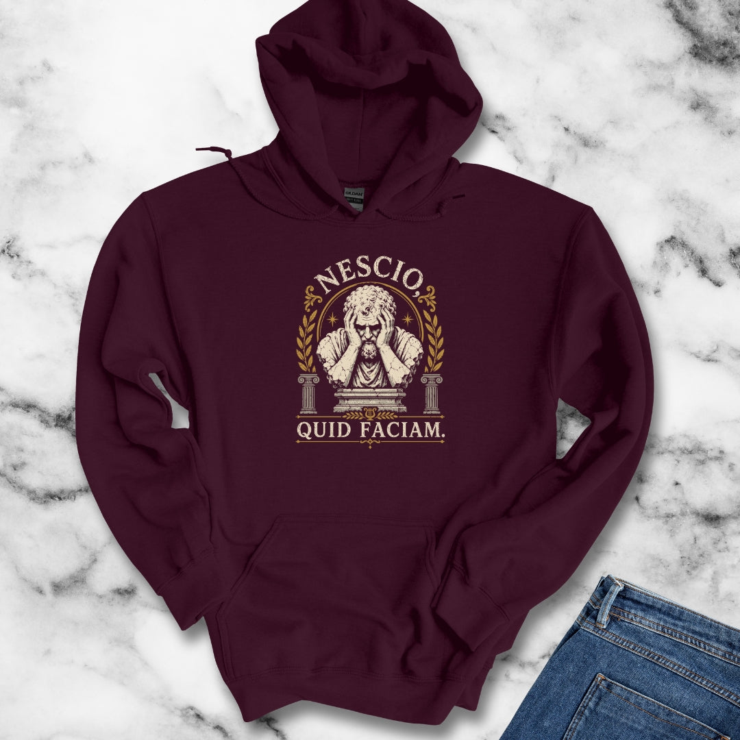 NESCIO QUID FACIAM STATUE Hoodie