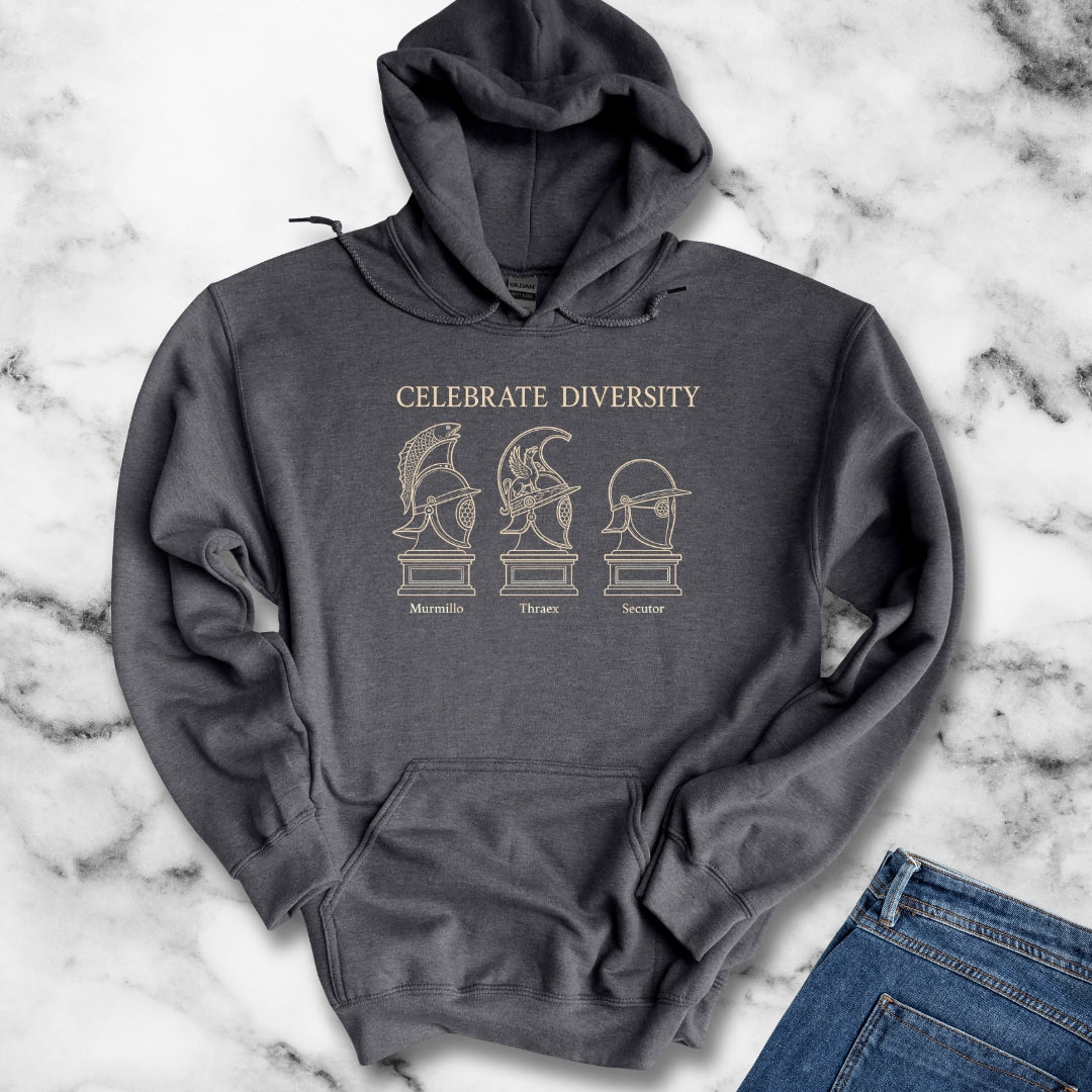 Celebrate Diversity Gladiator Helmets Hoodie