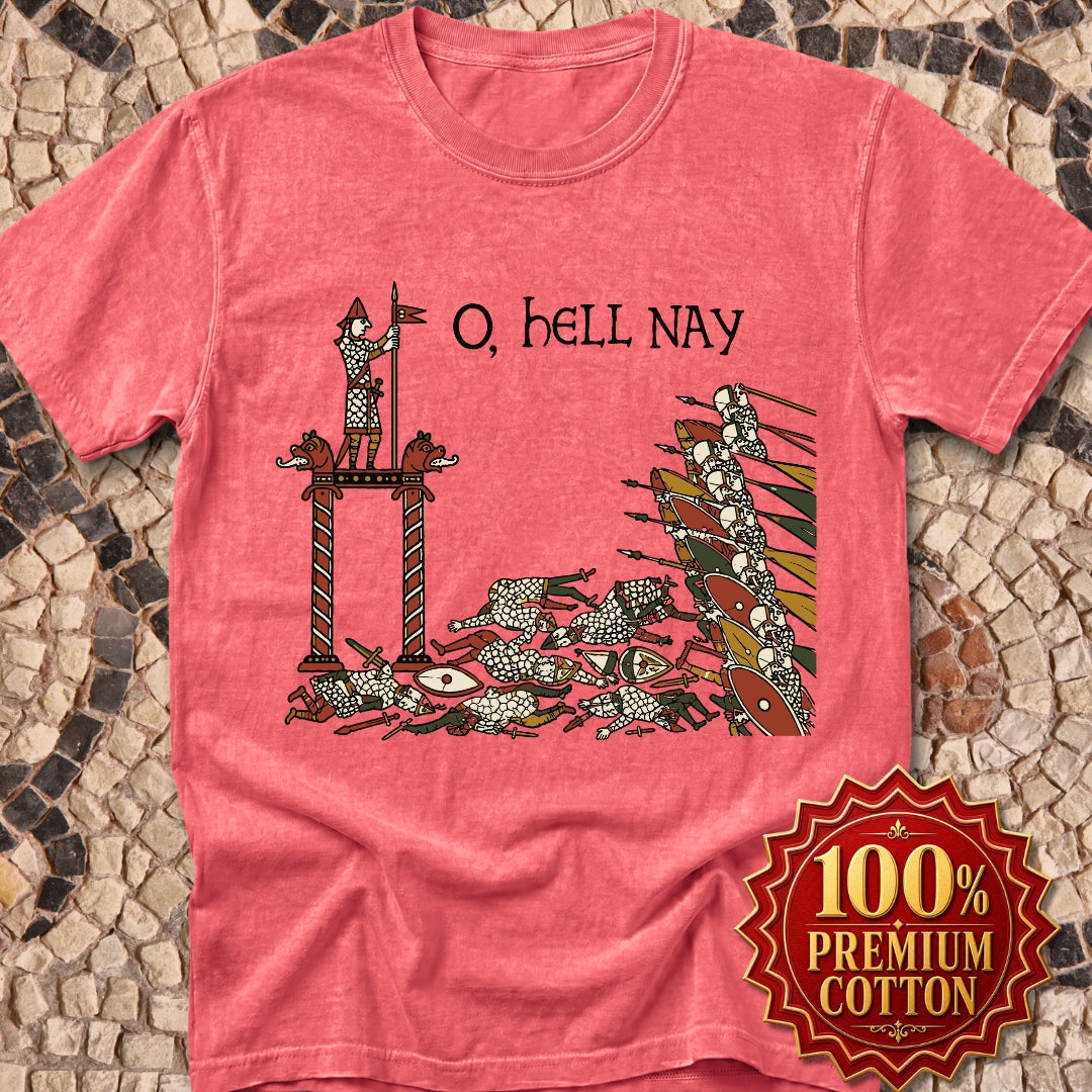 Hell Nay Bayeux Tapestry Meme Premium Tee