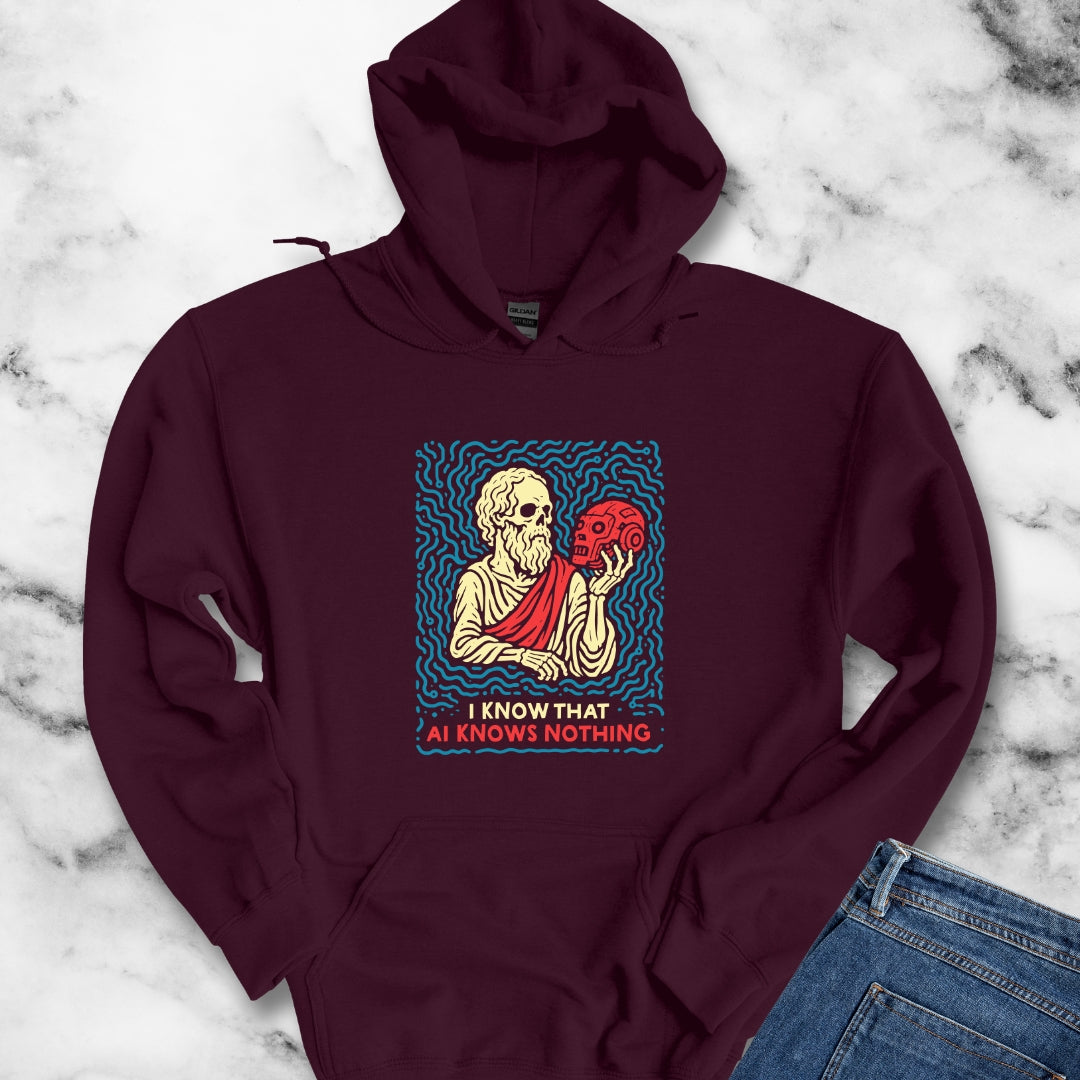 Socrates AI Knows Nothing Hoodie