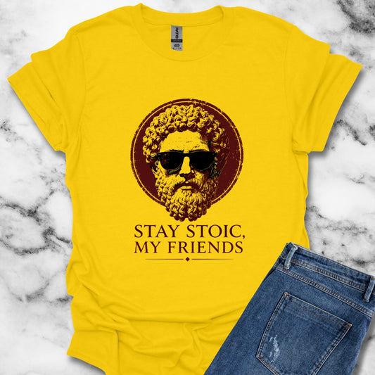 Aurelius Stay Stoic My Friends T-Shirt