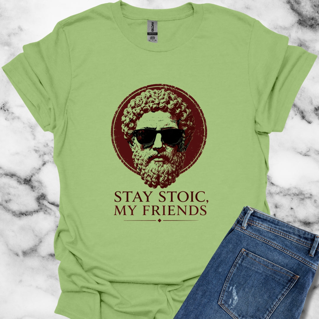 Aurelius Stay Stoic My Friends T-Shirt