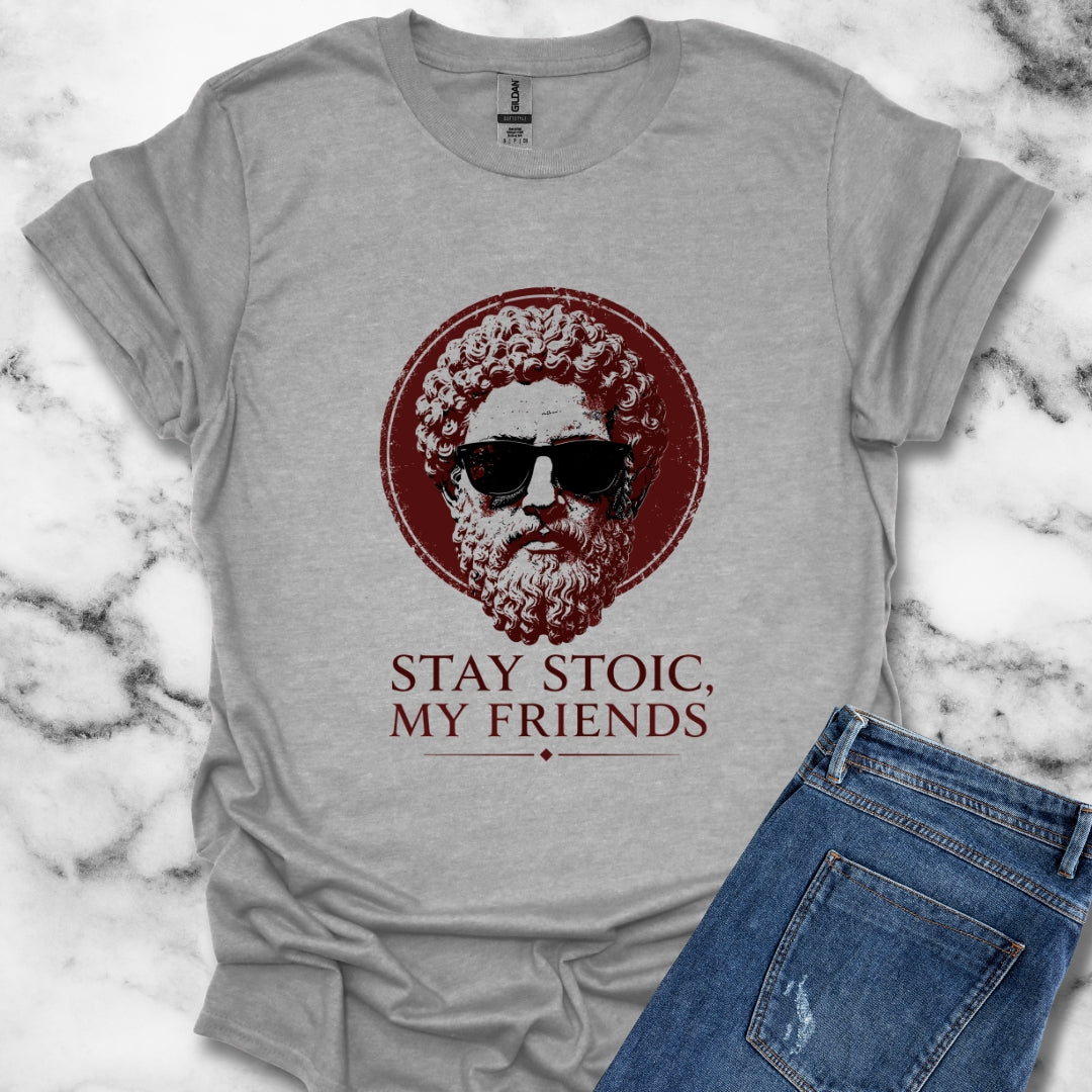 Aurelius Stay Stoic My Friends T-Shirt