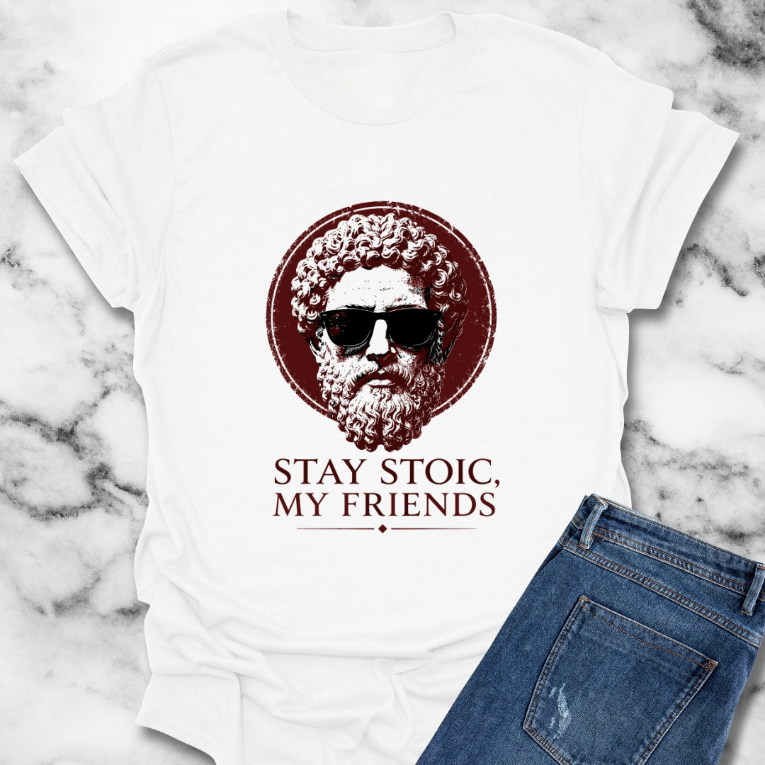 Aurelius Stay Stoic My Friends T-Shirt