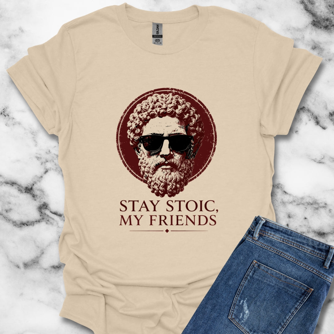 Aurelius Stay Stoic My Friends T-Shirt