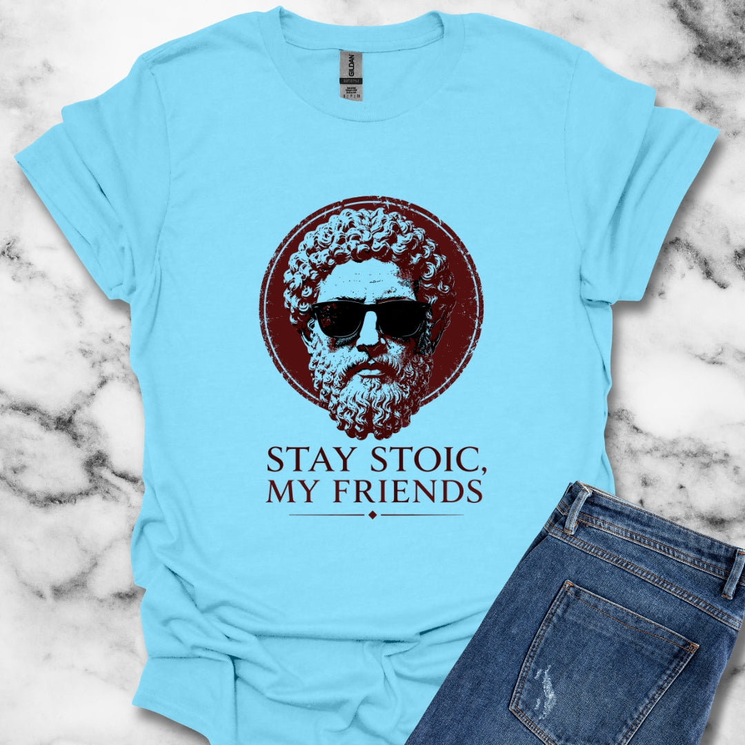 Aurelius Stay Stoic My Friends T-Shirt